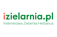 izielarnia.pl logo, styl minimalistyczne, branża internet, rodzaj logo typograficzne, układ poziome