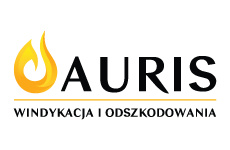 auris logo, styl abstrakcyjne, branża usługi, rodzaj logo graficzne, układ emblemat