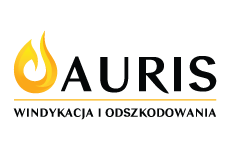 auris logo, styl z gradientem, branża usługi, rodzaj logo graficzne, układ poziome