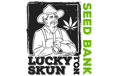 lucky skun seed bank logo, styl ilustracja, branża rozrywka, rodzaj logo graficzne, układ kwadratowe